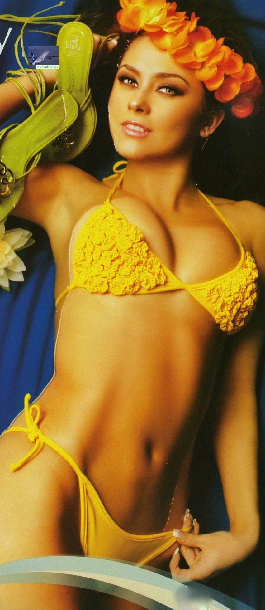 Aracely Arambula Bikini 26