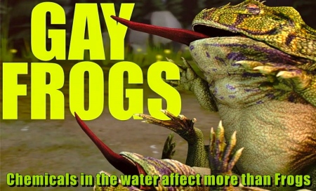 Gay Frogs 115